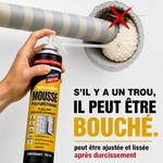 MOUSSE EXPANSIVE POLYURÉTHANE 750ml INDISPENSABLE À LA MAISON